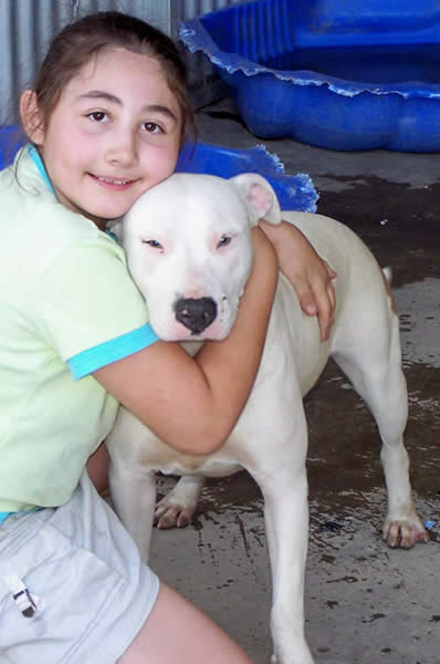 Immortalz Jilly Bean